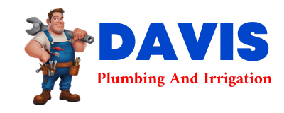 Trusted plumber in HONEOYE